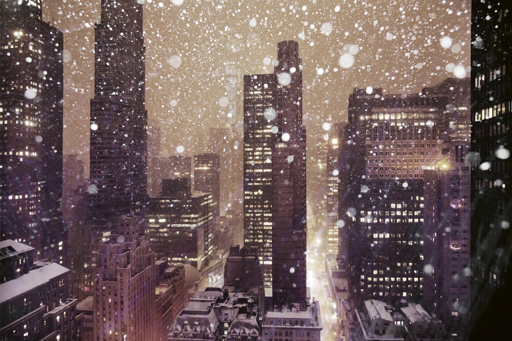 Winterland: The Colors of Snow