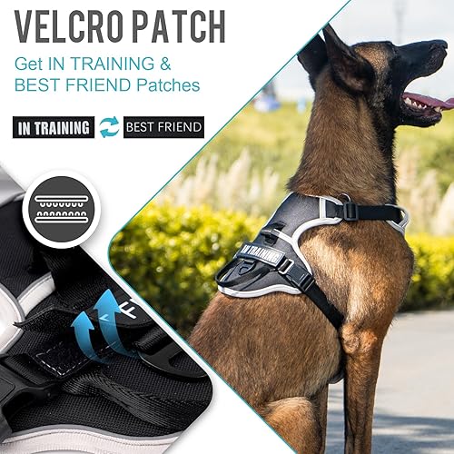 Miniatura 2 de WENDISI Arnés para perro sin tirones, arnés reflectante para perro con 2 clips delanteros y traseros, arnés Oxford para mascotas, chaleco ajustable