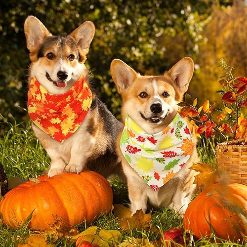 Miniatura 2 de Sweetude 50 bandanas de otoño para perro de Acción de Gracias, a granel, calabaza, hojas de arce, bandanas a cuadros para perros, baberos suaves,