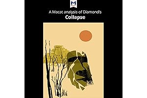 Analysis: Jared M. Diamond's Collapse