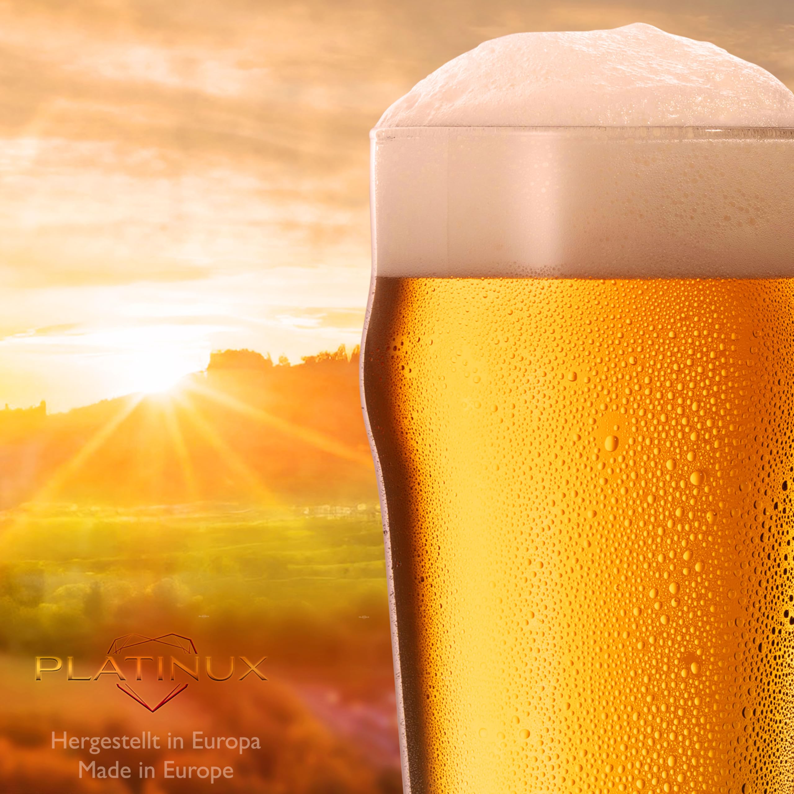 PLATINUX Set di 6 bicchieri da birra da 500 ml (max. 568 ml), boccali da birra in vetro per birra