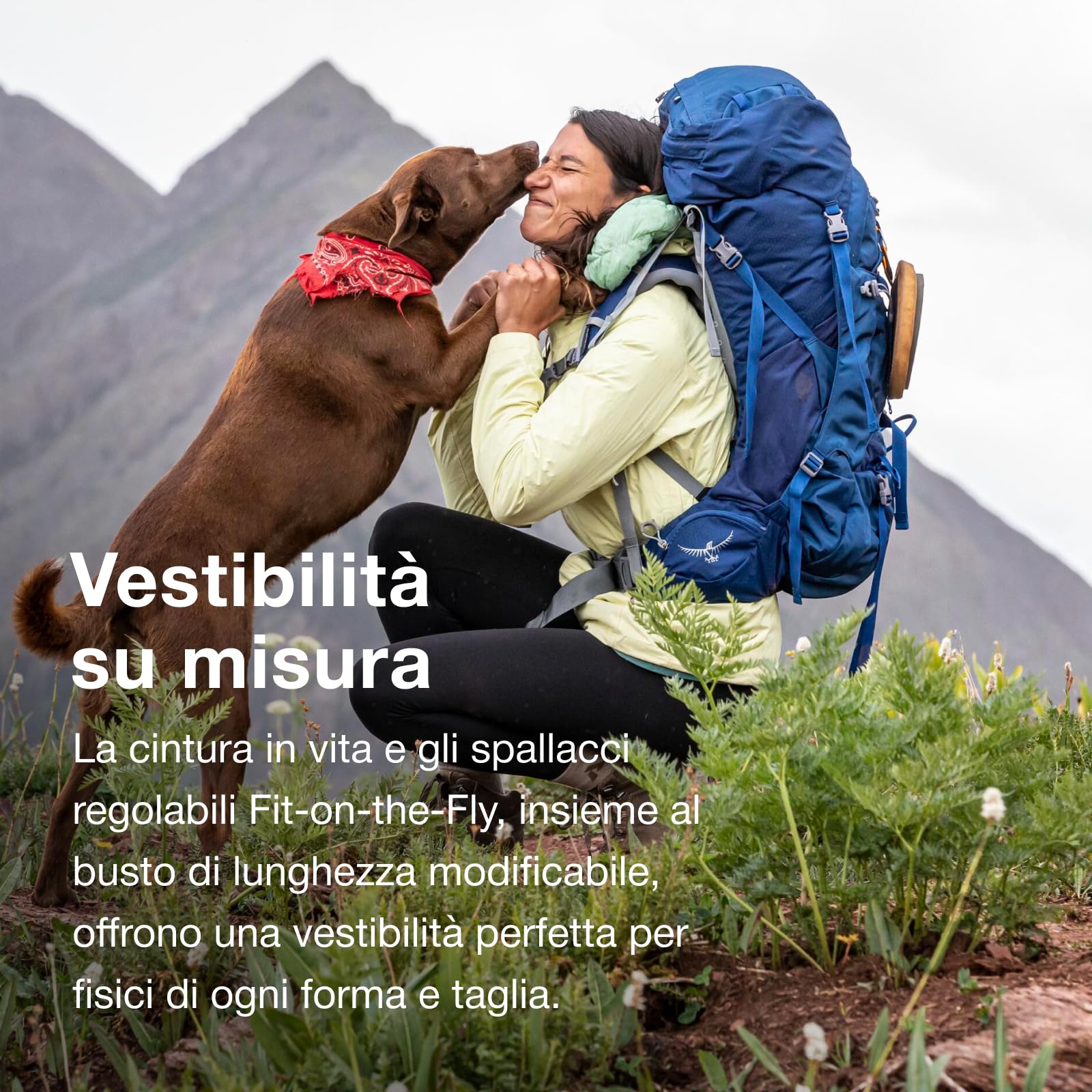 Osprey Ariel Donna Zaino