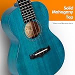Enya Concert Ukulele EUC-25D 23 Haut de l'acajou solide de pouce - Kit débutant avec étui, Tuner, Strap, Strings, Capo, Shaker de sable, Pick, Costume polonais - Son professionnel pour les débutants & Adultes (Couleur Bleue)- Kit pour débutants Ukulele avec Gig Bag, Capo, Tuner