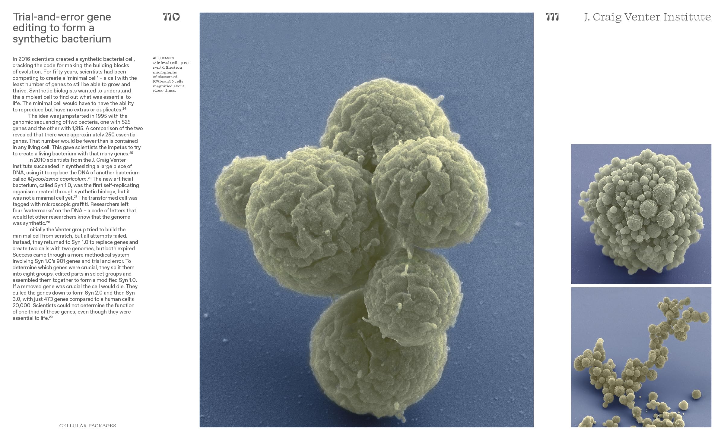Alive: Synthetic cells, feral robots, rebellious AI, and the design of radical life (Thames & Hudson)