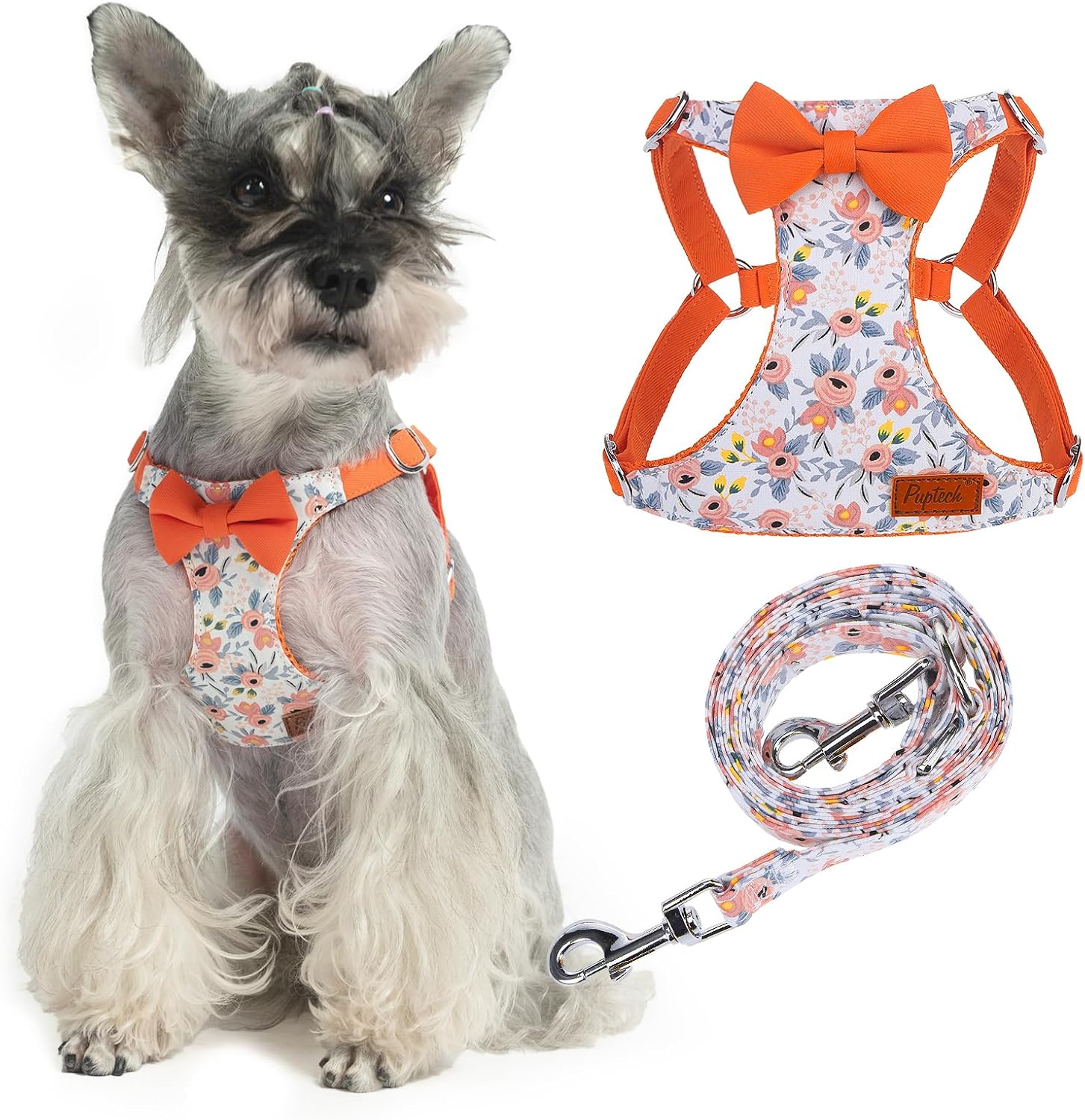 PUPTECK Dog Harness and Leash Set Small Sized, Step-in Cute Puppy Harness, Soft Lightweight Padded Vest, Escape Proof No Pull Pet Harnesses Easy for Walking, Flower Orange, S