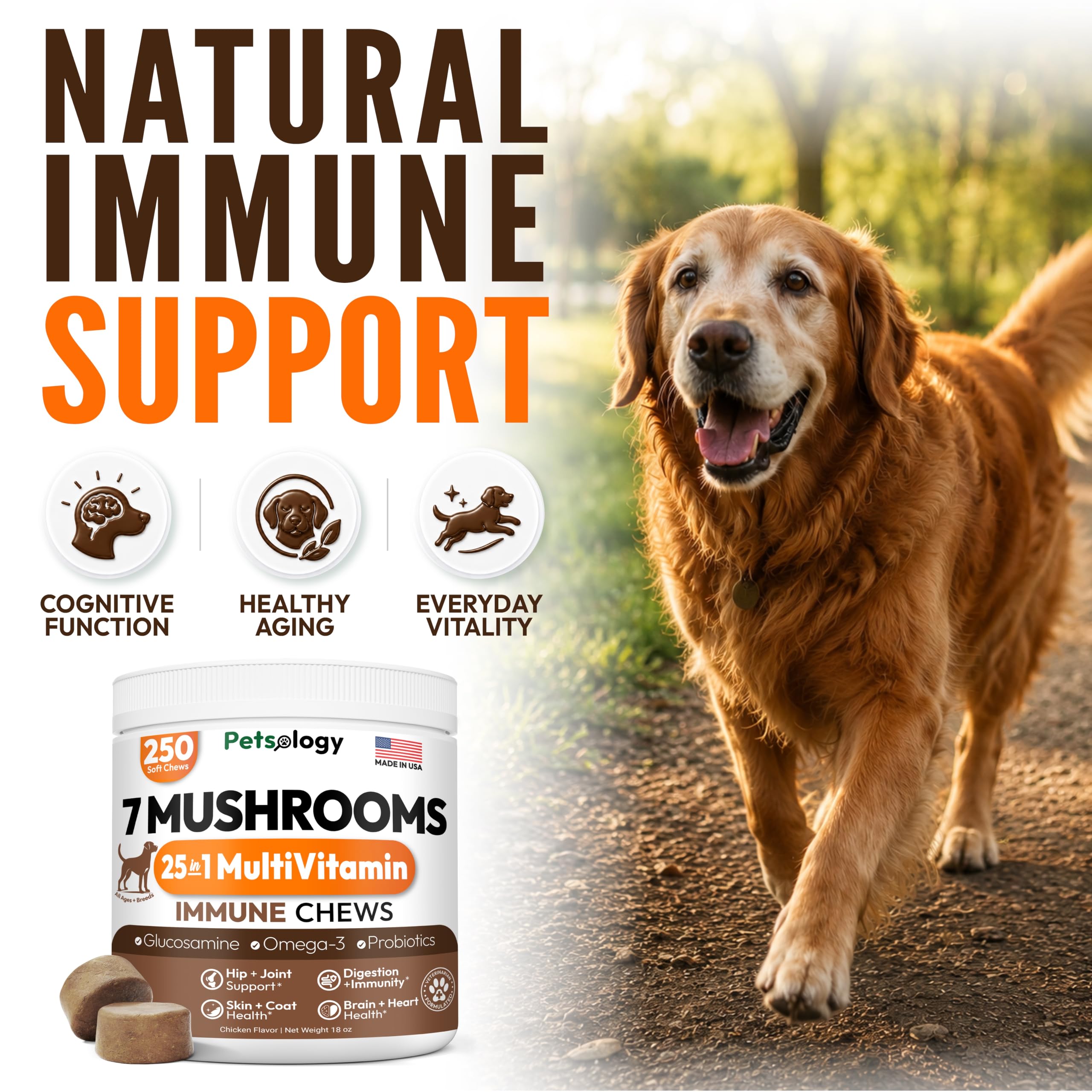 Turkey Tail Mushroom for Dogs - 250 Chews - Lion's Mane, Shiitake & Reishi — Amazon image 3
