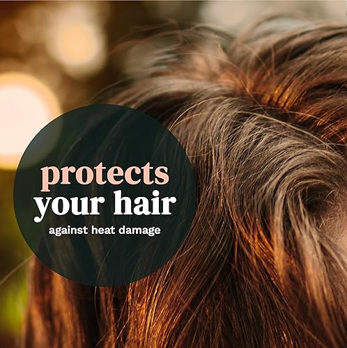 Miniatura 5 de Viviscal Champú seco voluminizador, refresca el cabello y absorbe el aceite entre lavados, champú sin agua para mayor textura y cuerpo del cabello,