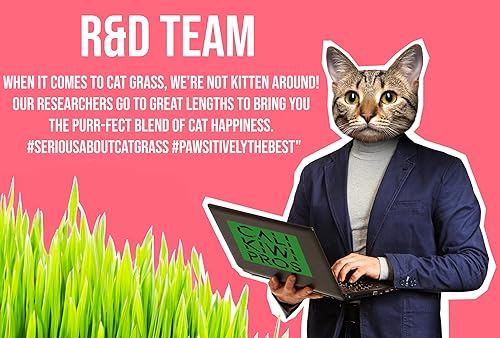 Miniatura 6 de Maceta ornamental de interior con kit de cultivo de hierba para mascotasgatos, hecha a mano en los Estados Unidos de cedro rojo (AgedWash)