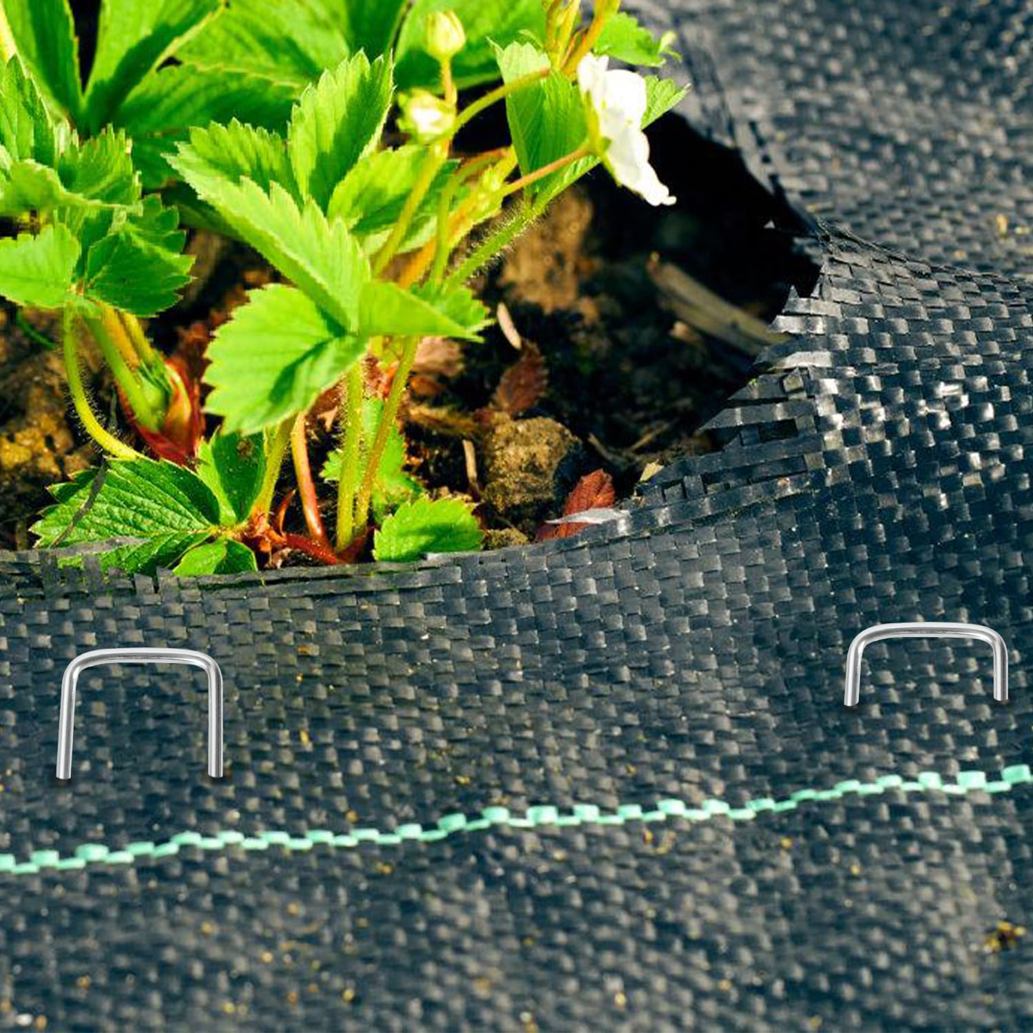 Lot de 300 piquets d'ancrage au sol en acier galvanisé - Pour toile anti-mauvaises herbes, non-tissé de jardin, clôture, jardin (150 x 25 mm - Ø 2,8 mm)