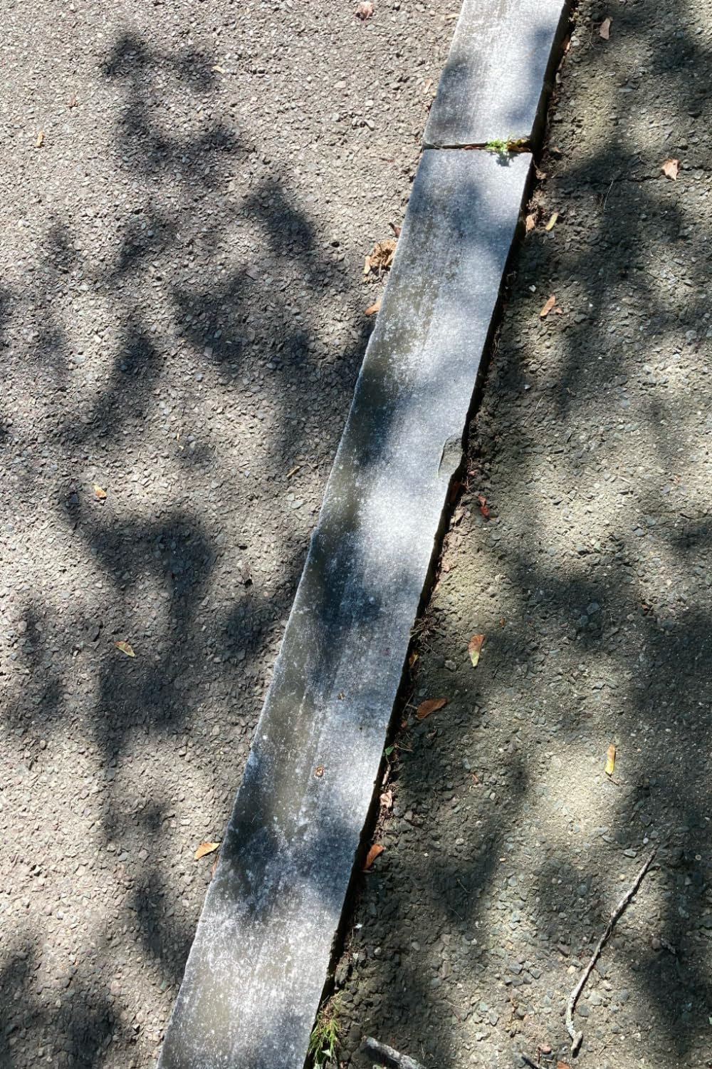 Reveries of the Circling Householder