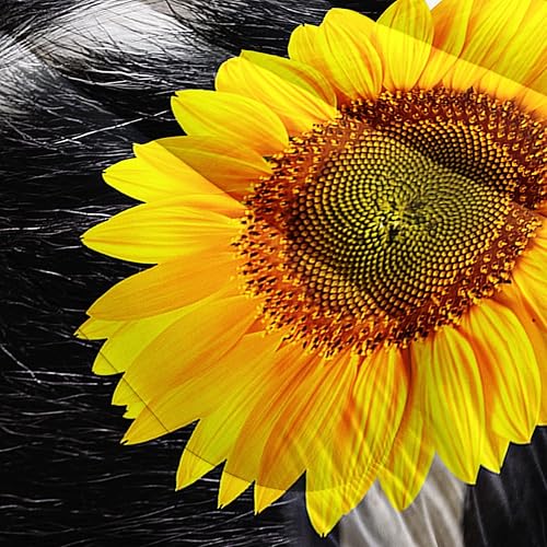 Miniatura 6 de BailiPromise Juego de edredón de vaca y girasol con estampado de animales de granja juego de ropa de cama con 1 edredón y 2 fundas de almohada para