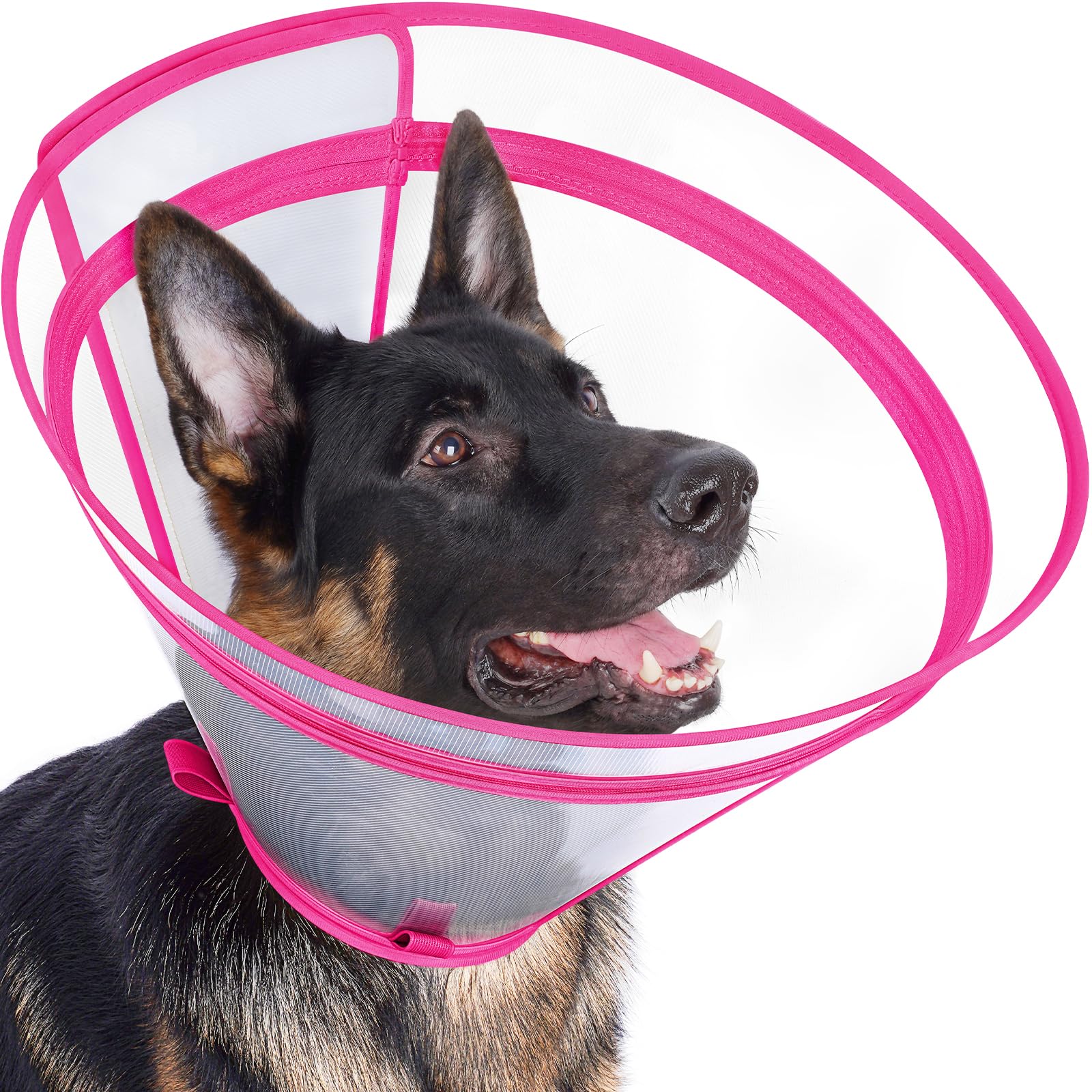 Didopet Clear Recovery Collar