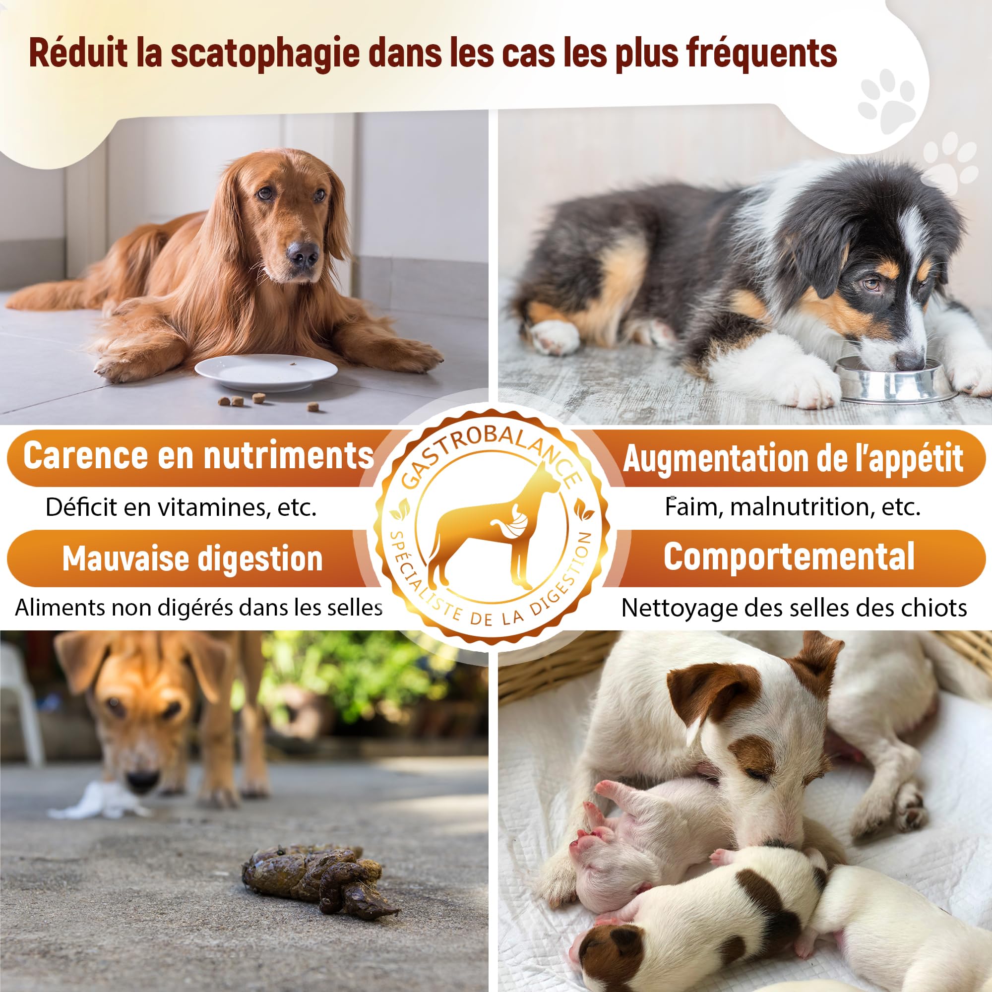 Tratamiento Coprofagia Perro - 60 croquetas de escatofagia Perro para Disuadir de Comer Heces Caninas - Sabor Bacon (Español)