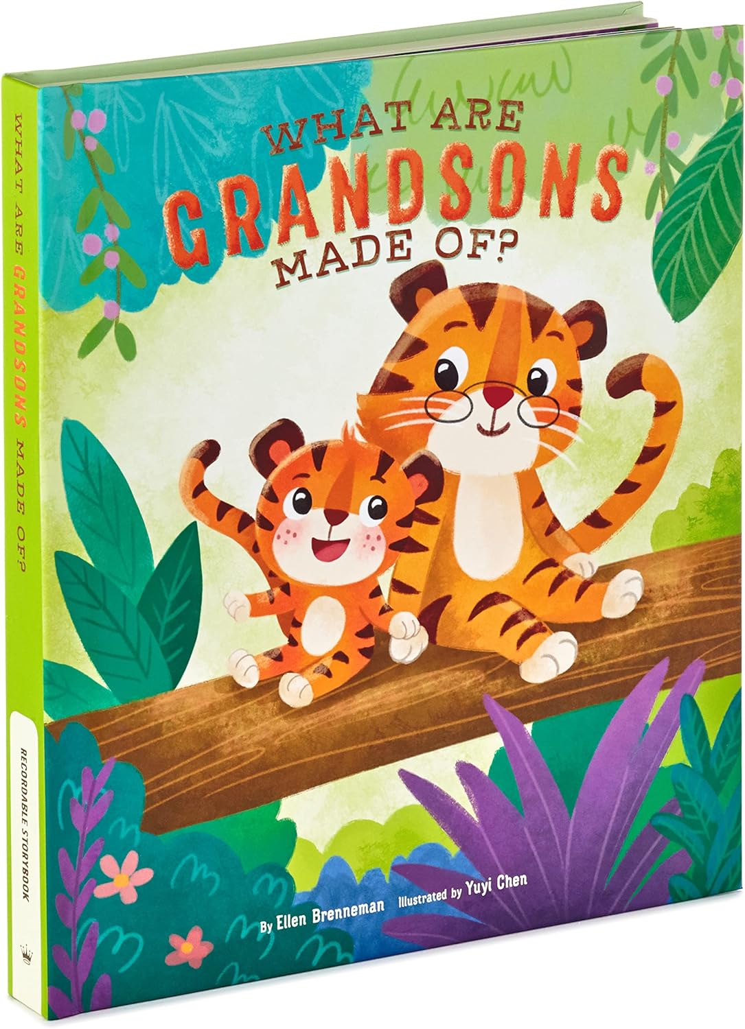 Hallmark Recordable Book for Children (What are Grandsons
