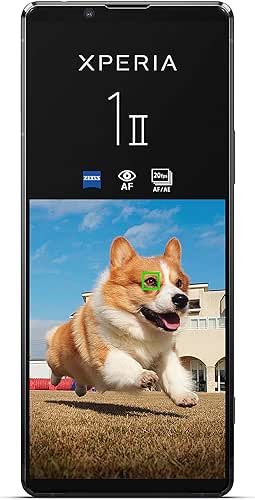 Test Sony Xperia 1 II : le meilleur smartphone pour regarder Netflix #13