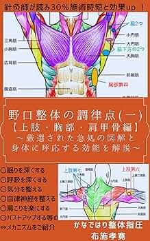 改訂版 健康の自然法 野口晴哉 / 野口整体 整体操法 改訂版 健康の自然法 野口晴哉 / 野口整体 整体操法 - メルカリ