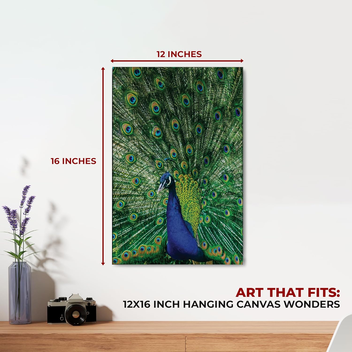 Peacock Canvas Wall Art by Mavis Print- 12X16 inches Bird Wall Decor | HD Printed & Wooden framed wall art | Modern Wall Decor for Gift | Made in USA