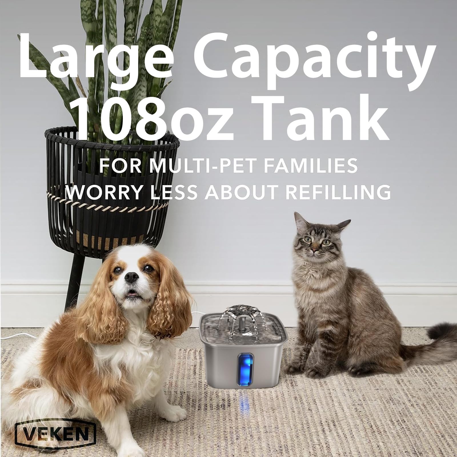 https://m.media-amazon.com/images/I/81mXoattSrL.jpg