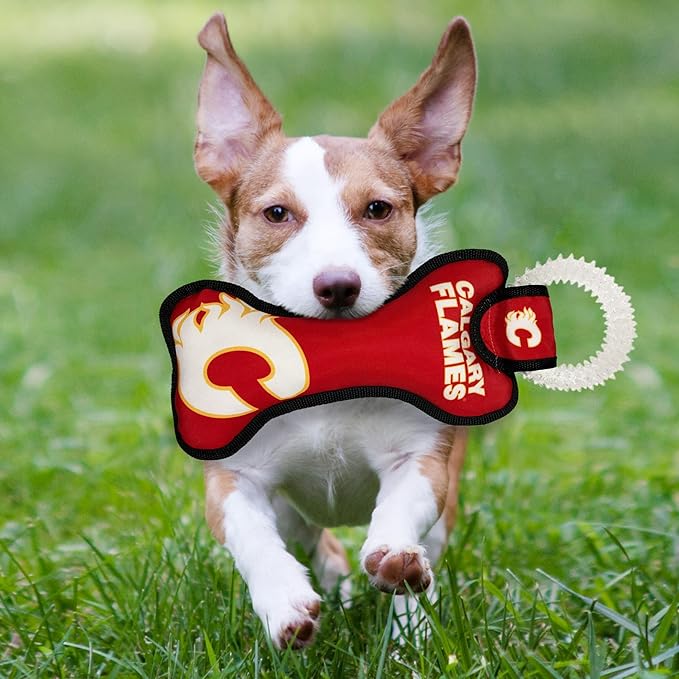Pets First NHL Calgary Flames Juguete Mordedor con Anillo Dental miniatura 4