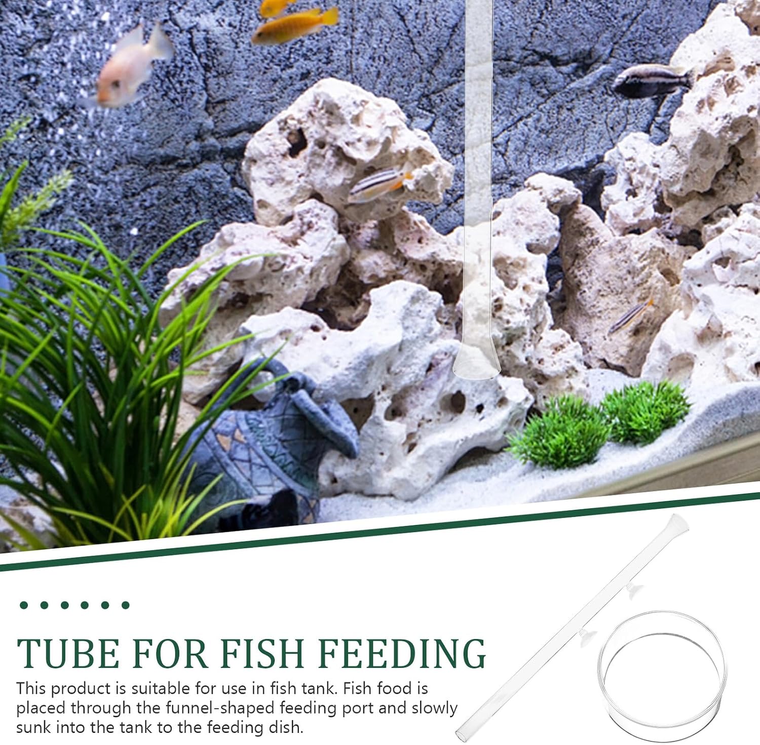 Aquarium Feeder Tube and Shrimp Feeding Dish Glass 40cm Fish Feed Tool for Aquarium Accessories Suitable for Fish and Shrimp image 3