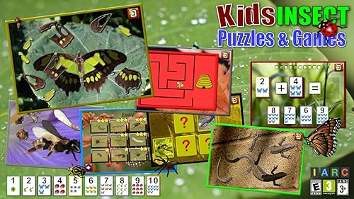 Crianças inseto quebra-cabeças e jogos de memória - diversão educativa para crianças pré-escolares