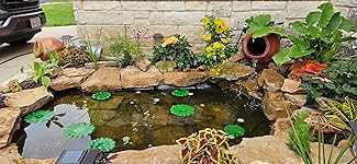 Review Image by Shad Stevenson Shad Stevenson