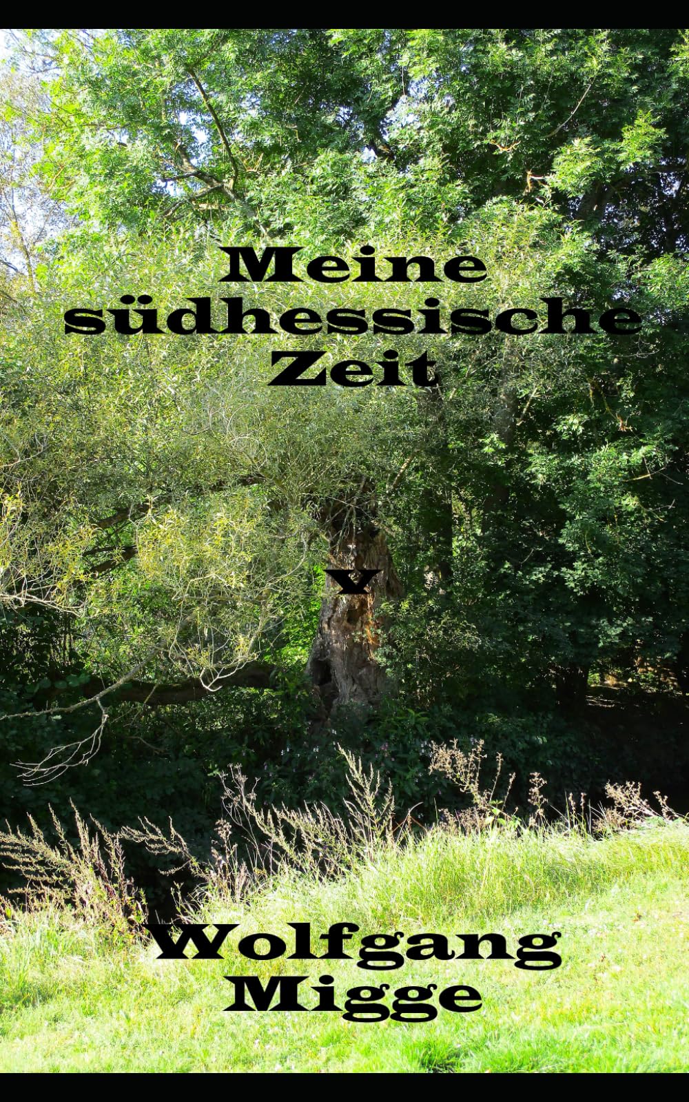 Meine südhessische Zeit: Ein autobiografischer Roman