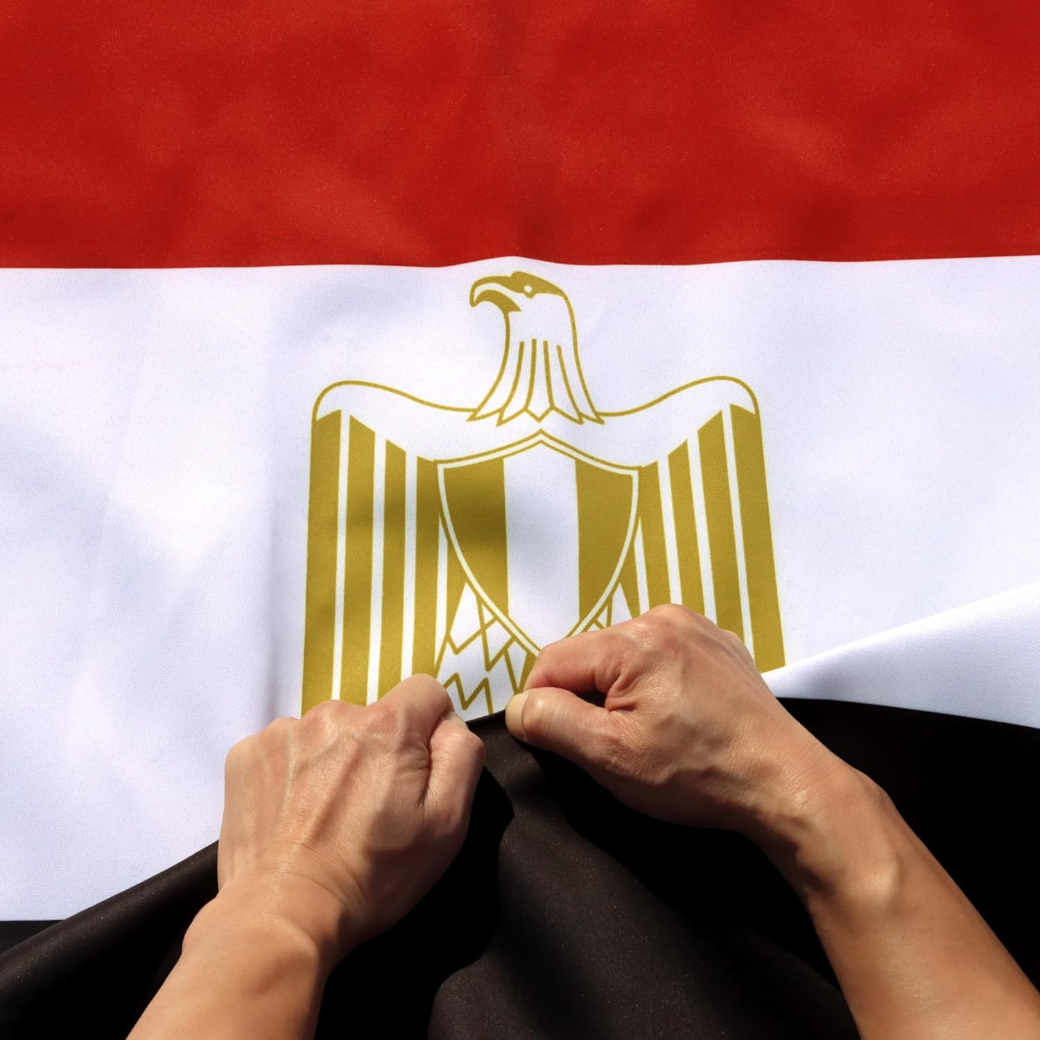 Anley Rip-Proof Double Sided 3-Ply Egypt Flag 3x5 Foot - Vivid Color, Canvas Header and Wrinkle Resistant - The Strongest, Longest Lasting Egyptian National Flags 3 X 5 Ft