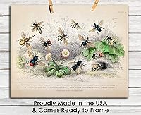 Vista 6 de Vintage Bees Wall Art Print - (11x14) Unframed Picture For Home, Office, Dorm & Bedroom Decor - Great Gift Idea Under $15