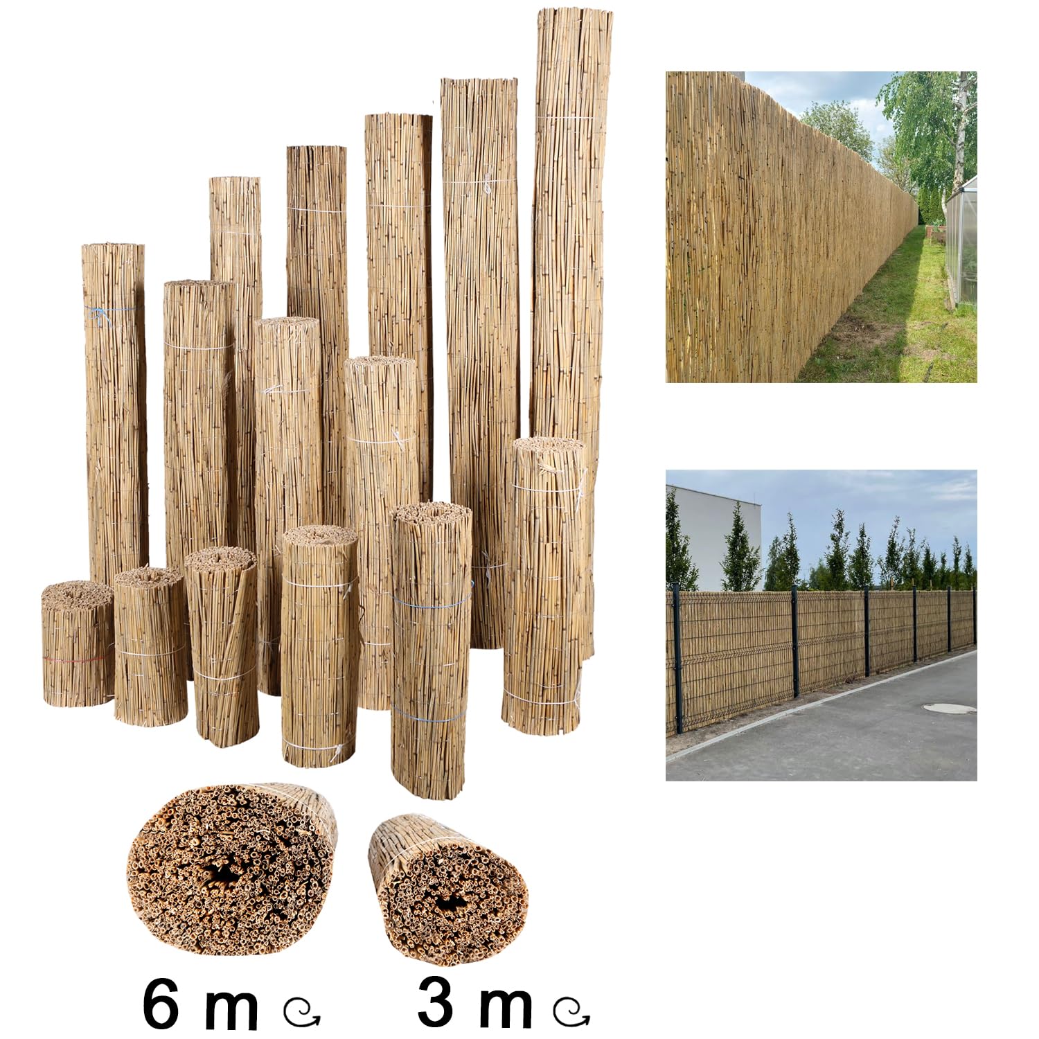 H4L Schilfmatte Sichtschutzmatte Schilfrohrmatte Natur Sichtschutz Windschutz Schilf 600x80cm