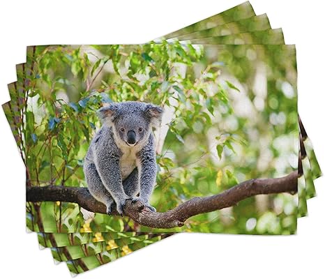 Amazon コアラplaceマットのセット4 By Lunarable オーストラリアでコアラ自然の生息地のgumtrees Indigenous Wildlife Eucalyptuses 洗濯可能プレースマットダイニングルームキッチンのテーブル装飾 マルチカラー テーブルクロス オンライン通販 Amazon コアラplaceマットのセット4 By Lunarable オーストラリアでコアラ自然の生息地のgumtrees Indigenous Wildlife Eucalyptuses 洗濯可能プレースマットダイニングルームキッチンのテーブル装飾 マルチカラー テーブルクロス オンライン通販