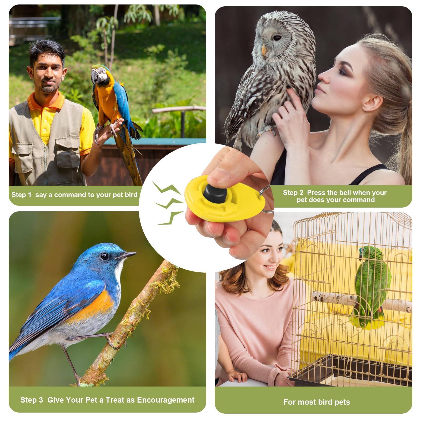 3-teiliges Vogel-Trainingsständer-Set, Papageien-Trainings-Clicker, tragbare Tisch-Vogelstange und Zielstab, Holz-Sitzstange mit Handschlaufe für Sittiche, Sittiche, Sittiche, Sittiche, Sittiche