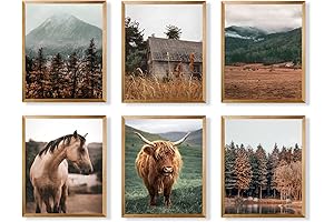 Farmhouse Western Decor: Highland Cow Pictures Wall Art