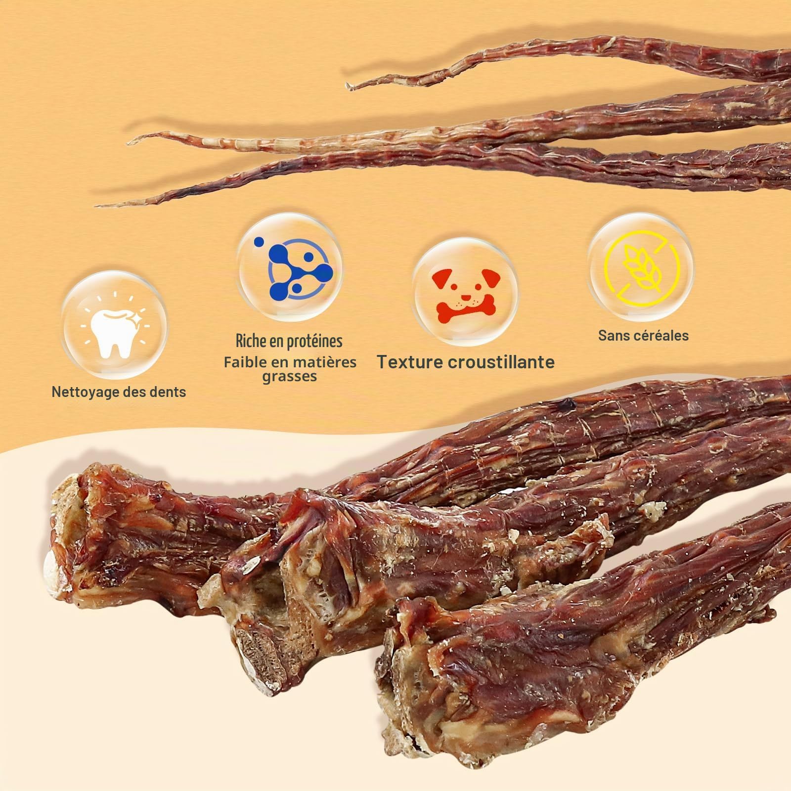 Os de Queue de Bœuf Nourris à l’Herbe pour Chiens-Friandises à Mâcher Durables, sans Additifs ni Remplisseurs, Favorise la Santé des Dents et des Gencives, Ingrédient Unique (3 PCS)