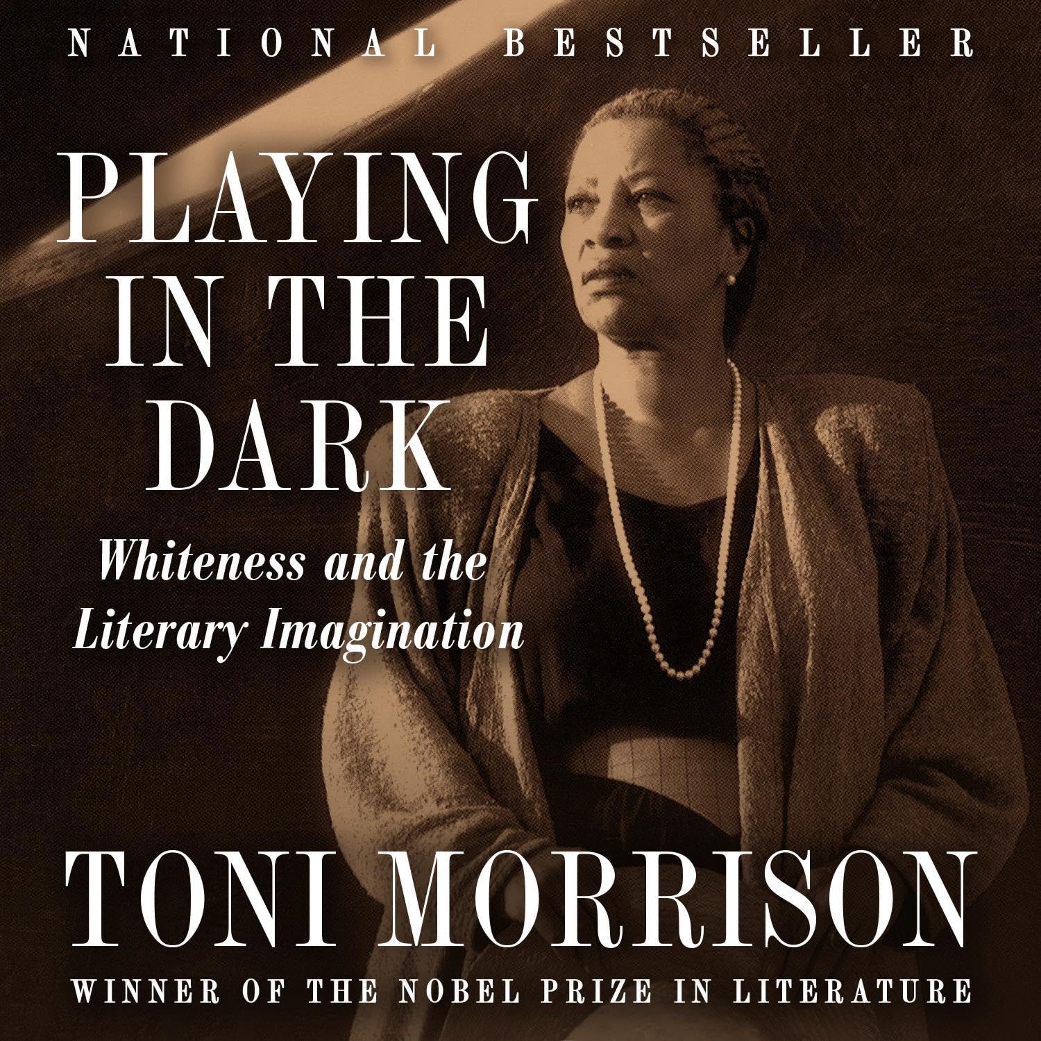 Cover art for Playing in the Dark