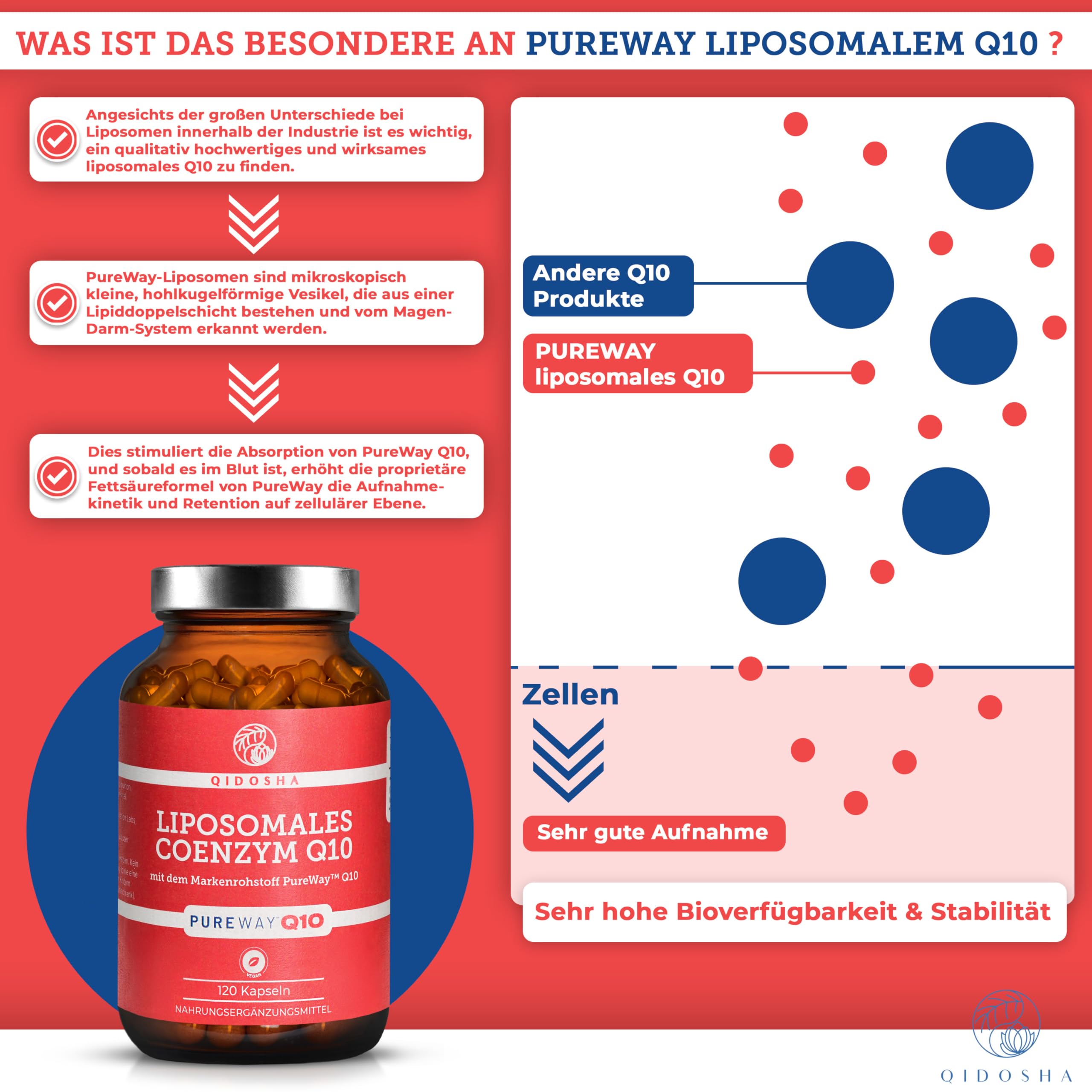 QIDOSHA® Coenzym Q10 liposomal mit dem Markenrohstoff "PureWay™ Q10", 120 Kapseln im Apothekerglas, hohe Bioverfügbarkeit, echte liposomale Technologie, deutsche Fertigung, jede Charge laborgeprüft