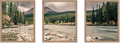 Miniatura 44 de Poster Master Póster de ilustración vintage de 3 piezas, impresión botánica retro, arte de pared sin marco de 8 x 10 pulgadas, regalo para artista,