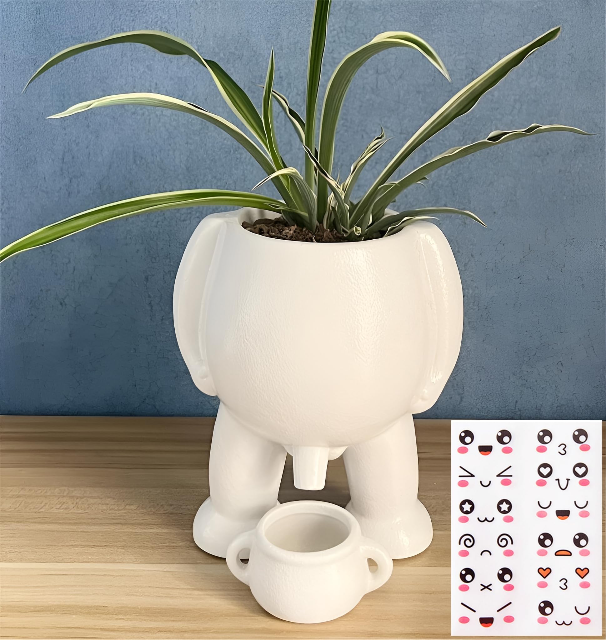 aglaonema 'beauty' Buy Aglaonema 'Red Beauty'