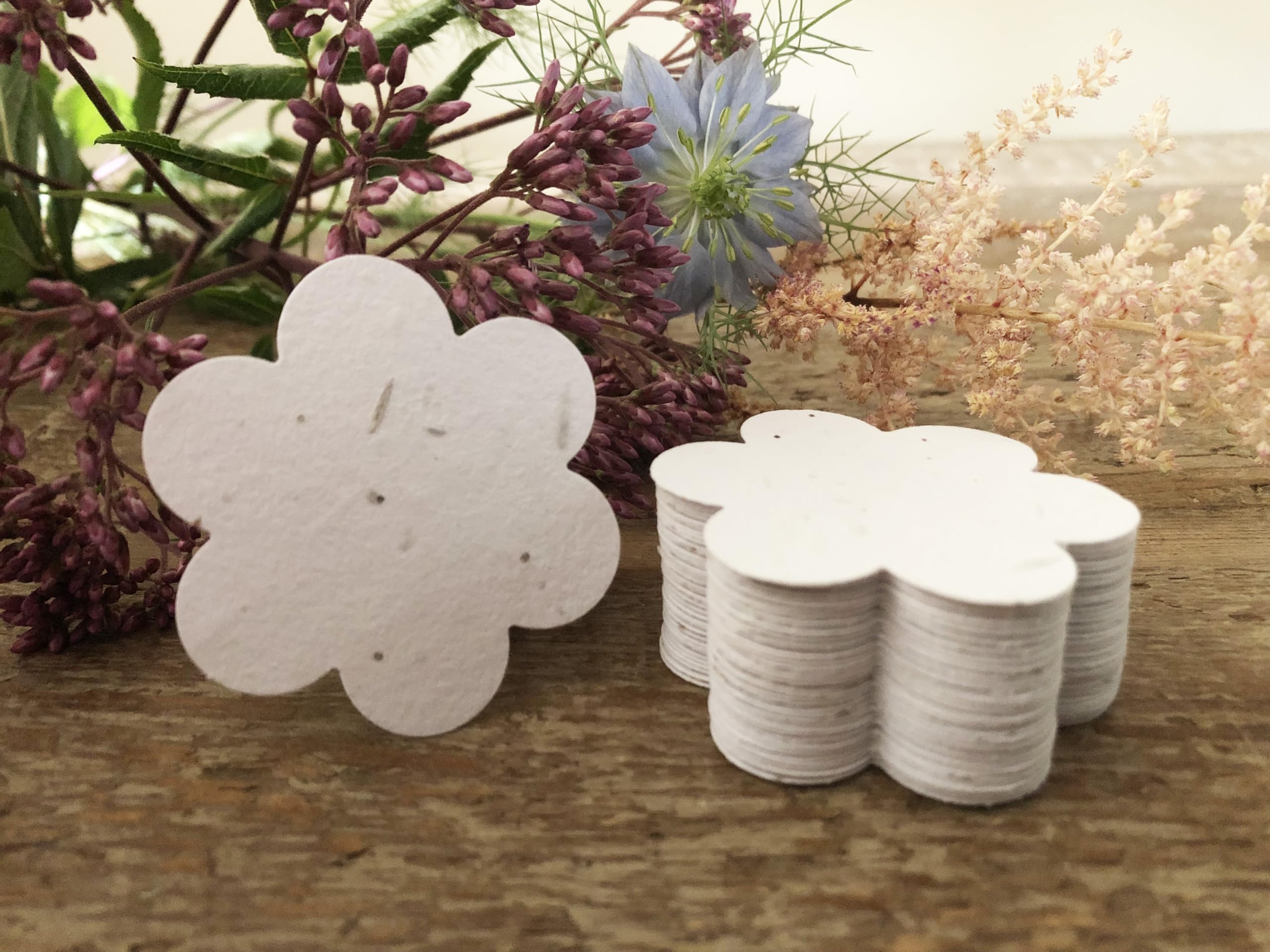 200 White Seed Paper Flowers, Plantable Seed Paper Flowers, Eco Friendly Seed Paper Flowers, Flower Shaped Seed Paper, Bulk Seed Paper Flowers, Seed Paper Shapes, Plantable Seed Paper Favours