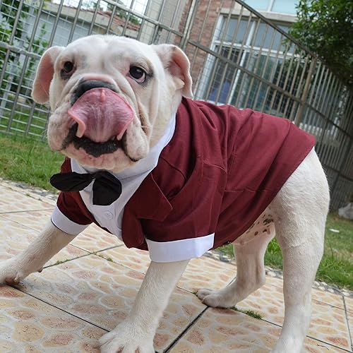 Miniatura 7 de Lovelonglong Disfraz de mascota para perro, traje formal de esmoquin con pajarita negra para perros grandes, medianos y pequeños, ropa de boda,