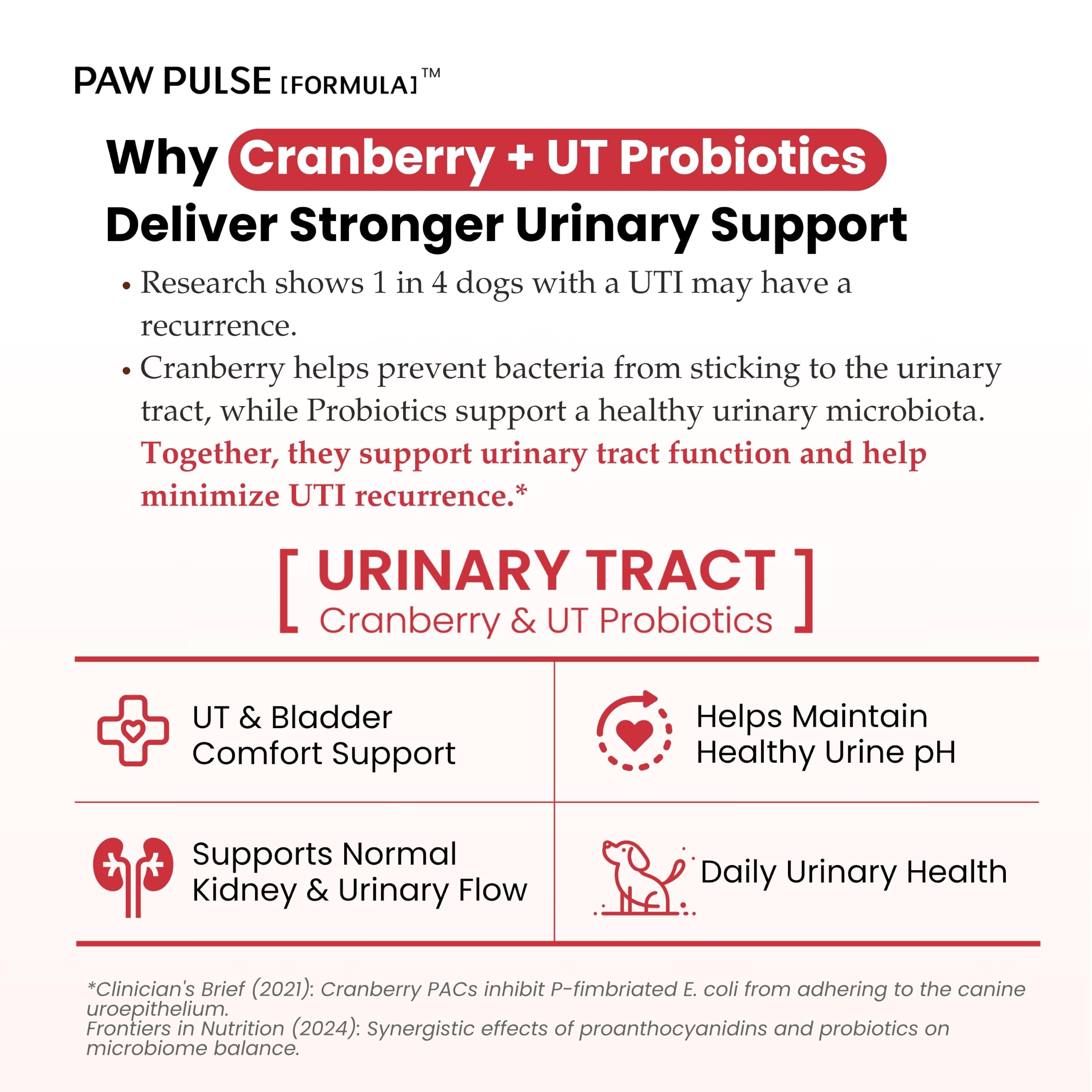 Dog UTI Treatment, Cranberry Supplement for Dogs with Cranberry Extract, D-Mannose & Probiotics, Cranberry for Dogs, Urinary Tract & Bladder Support, 90 Soft Chews — Amazon image 5