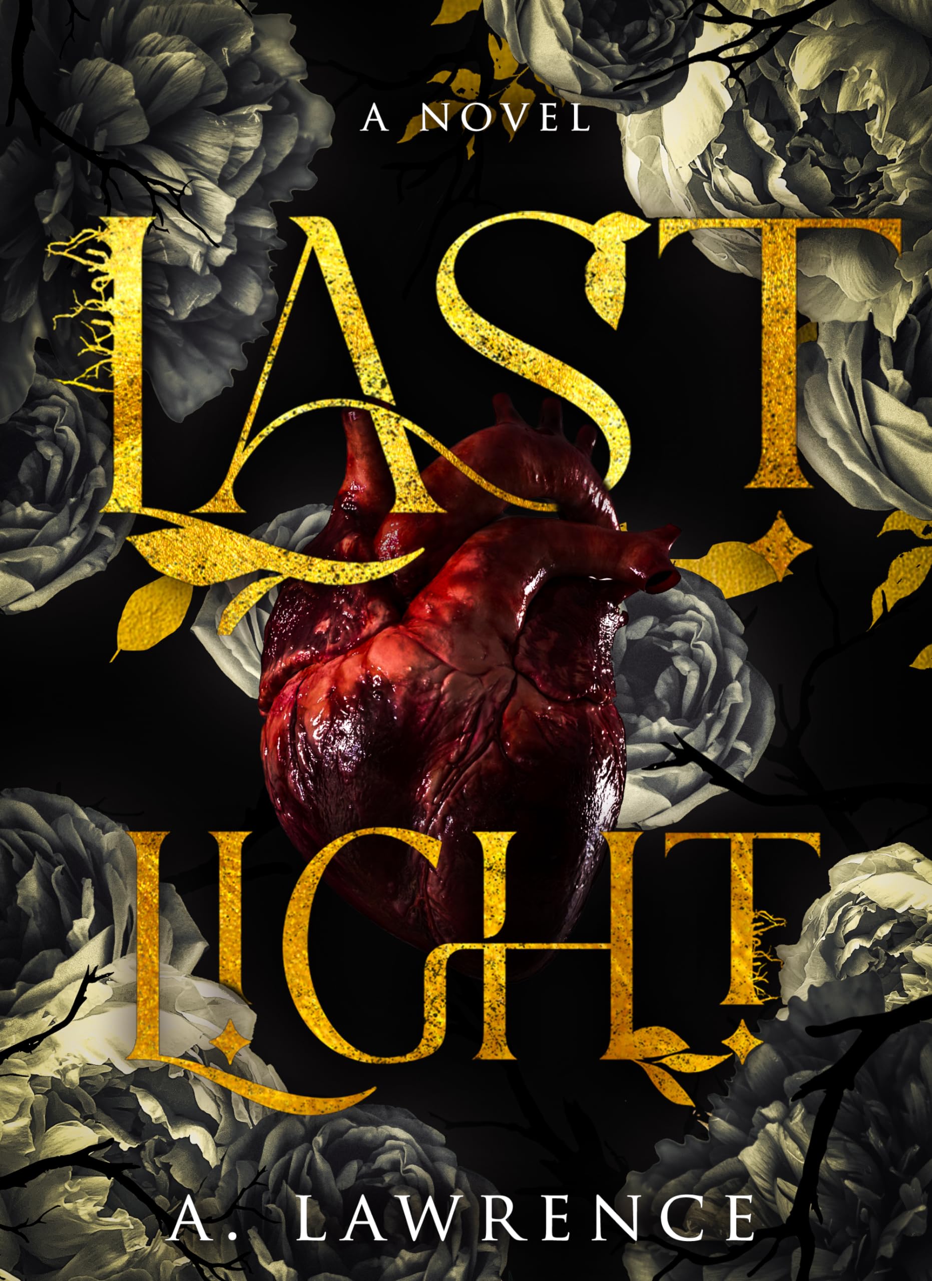 Book cover for Last Light