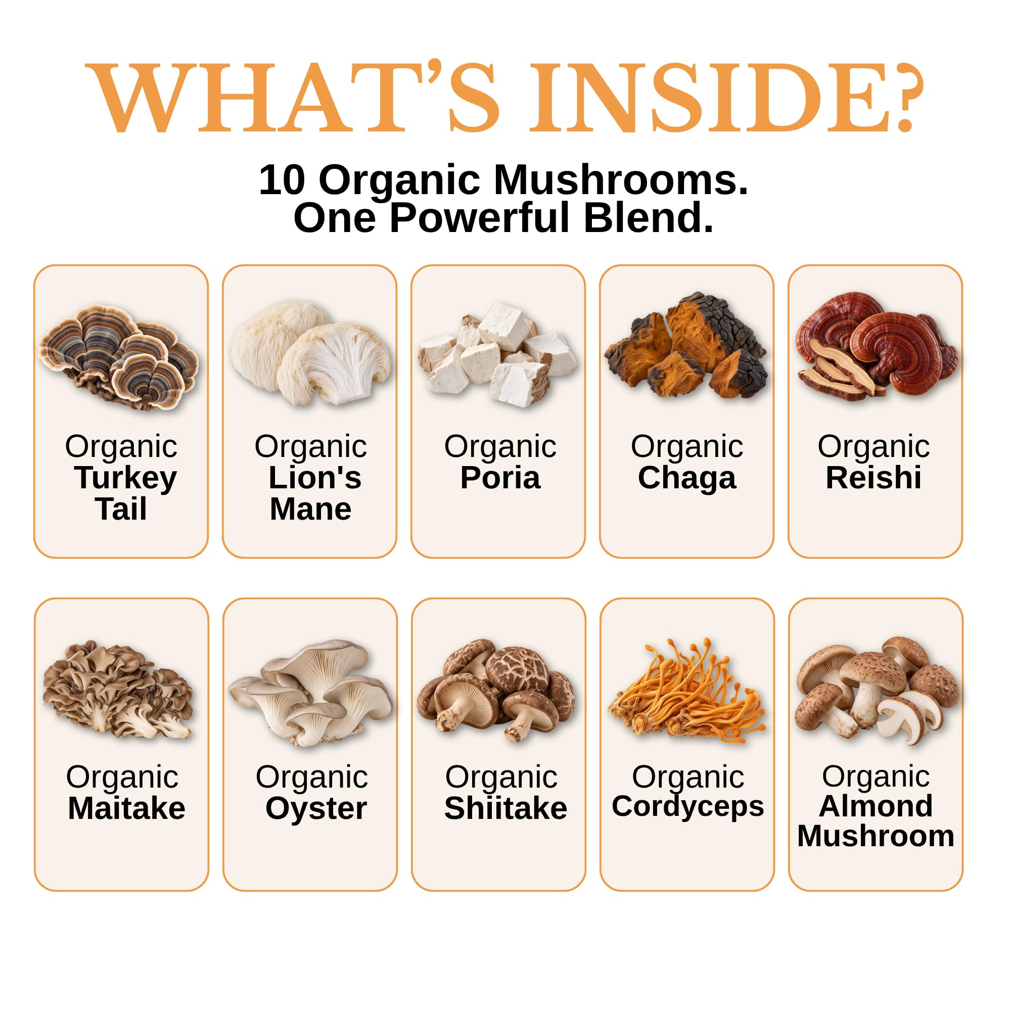USDA Organic Mushroom Supplement for Dogs and Cats, 2 oz, 84 Scoops — Amazon image 2