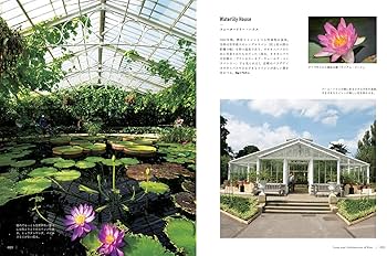 世界で一番美しい種子図鑑 : キュー王立植物園公認 Amazon.co.jp