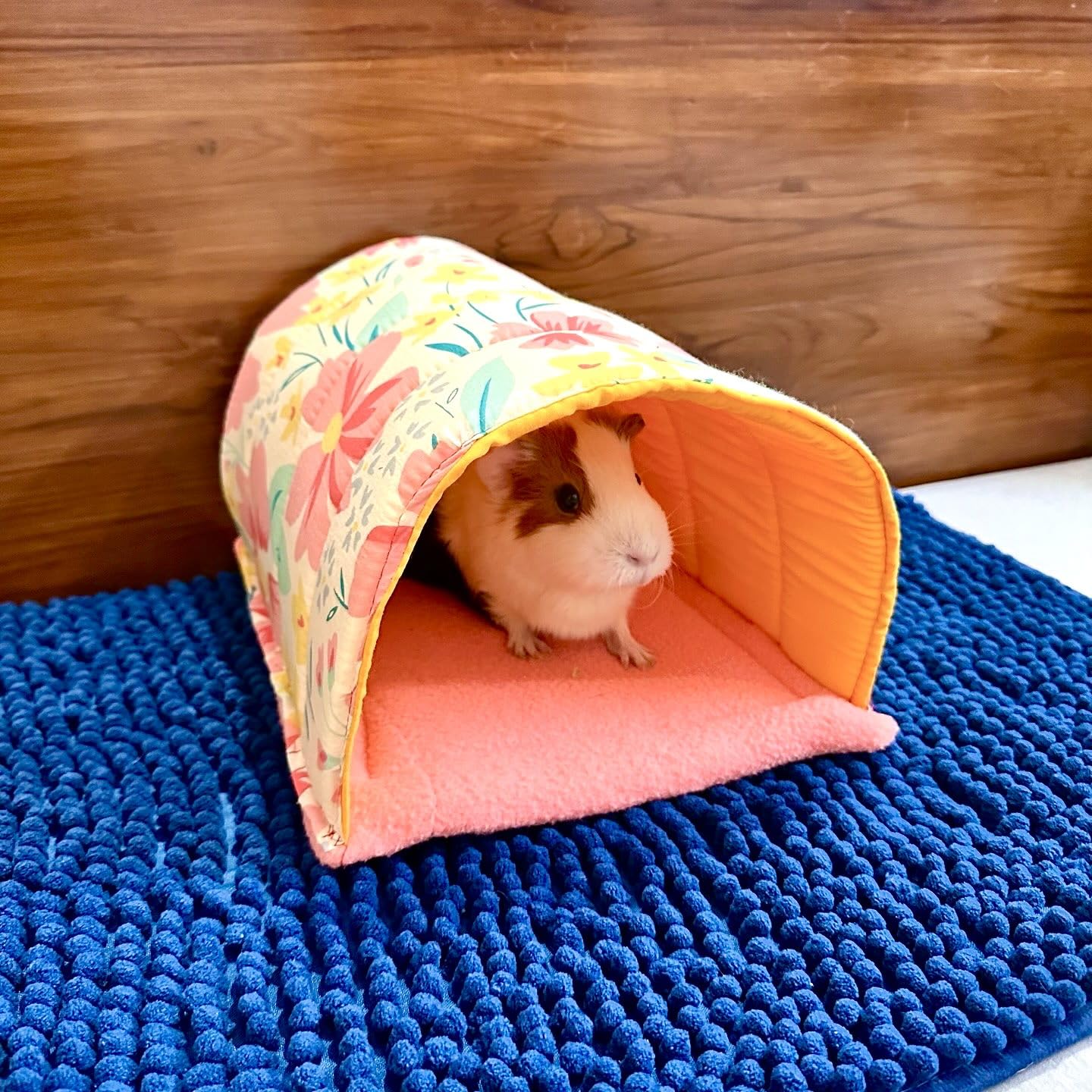 Jubbles Den Hideout for Exotic/Small Pets in India (Length*breadth*Height = 25cm*21cm*21cm) (Without Mattress)