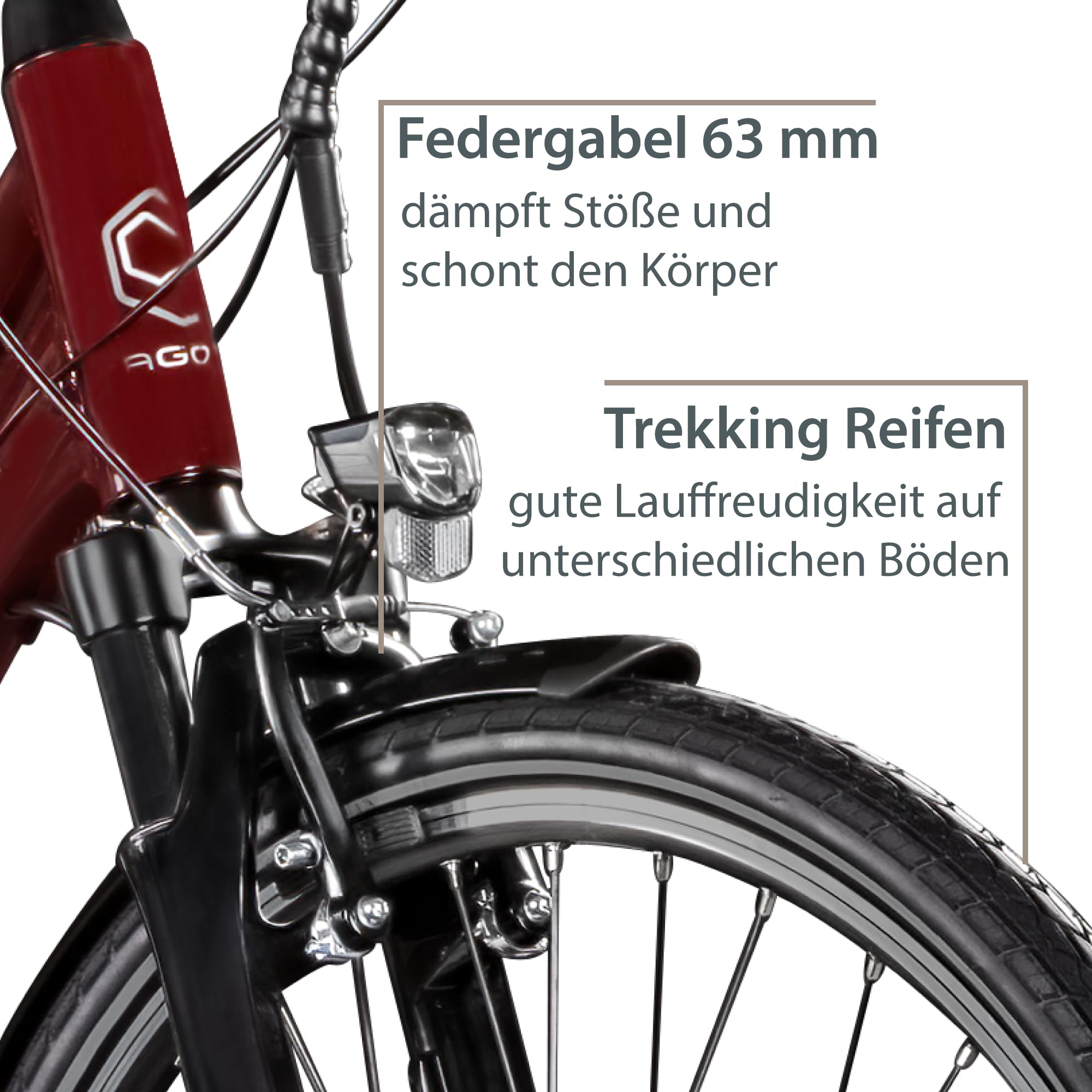 AGON Avesa E-Bike Trekkingrad Pedelec Damen Nabenmotor 21 Gang
