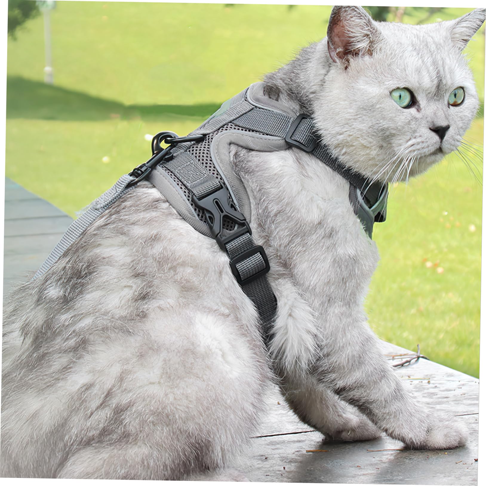 BESPORTBLE 5piezas Arnés para Perros Pequeños y Gatos Arnés Reflectante y Transpirable Correa Diseño y Cómodo para Paseos Al Aire