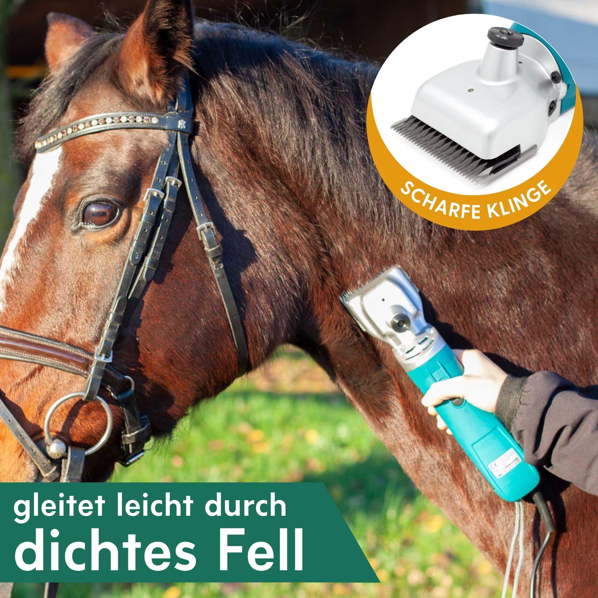 Agrarzone Pferdeschermaschine PowerCut 230V Schur Tierpflege Pflege | Schermesser, Schermaschinenöl, leistungsstark, langlebig