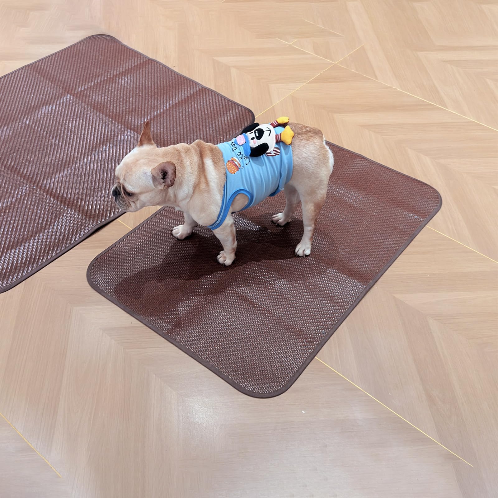 Tapis de refroidissement pour chiens de taille moyenne, 66 x 96,5 cm, tapis rafraîchissant en polyéthylène tissé, respirant, frais au toucher et résistant à la mastication, fond antidérapant