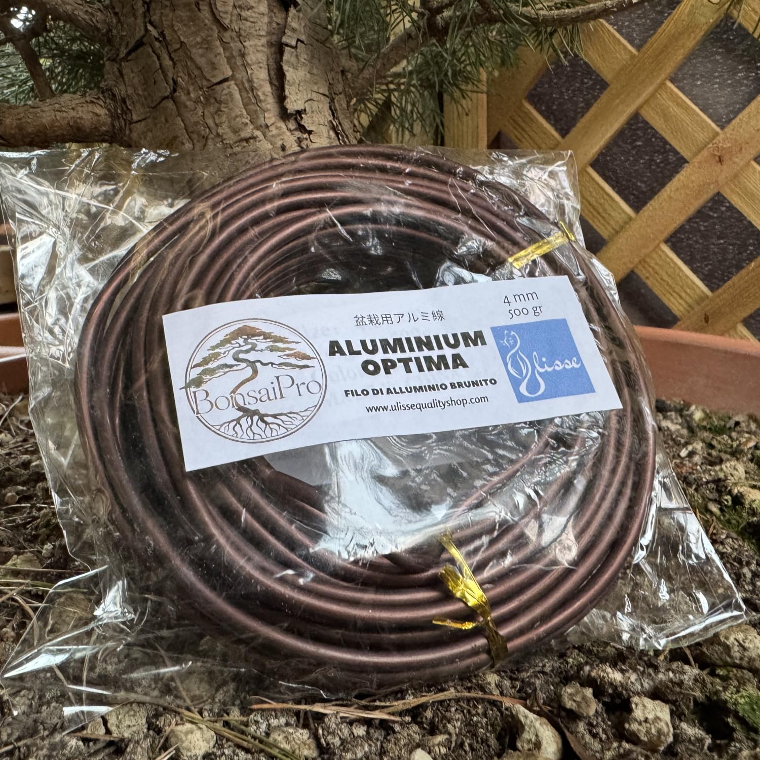 ULISSE® BonsaiPro Aluminium Optima - Filo per Bonsai Brunito - Modellabile e Resistente - Vari Diametri - 500g - per Modellare e Correggere la Forma dei Rami - Attrezzi Bonsai Professionali (5,5 mm)